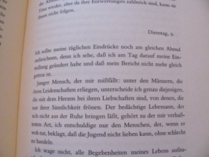 eine der Tagebucheintragungen