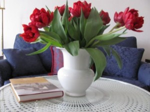 Tulpen 1 Foto: nw2014