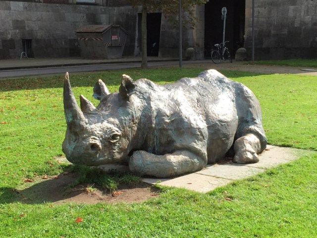 Nashorn Foto: nw2014