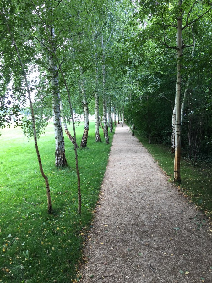 Liebermann-Villa: Garten Birken